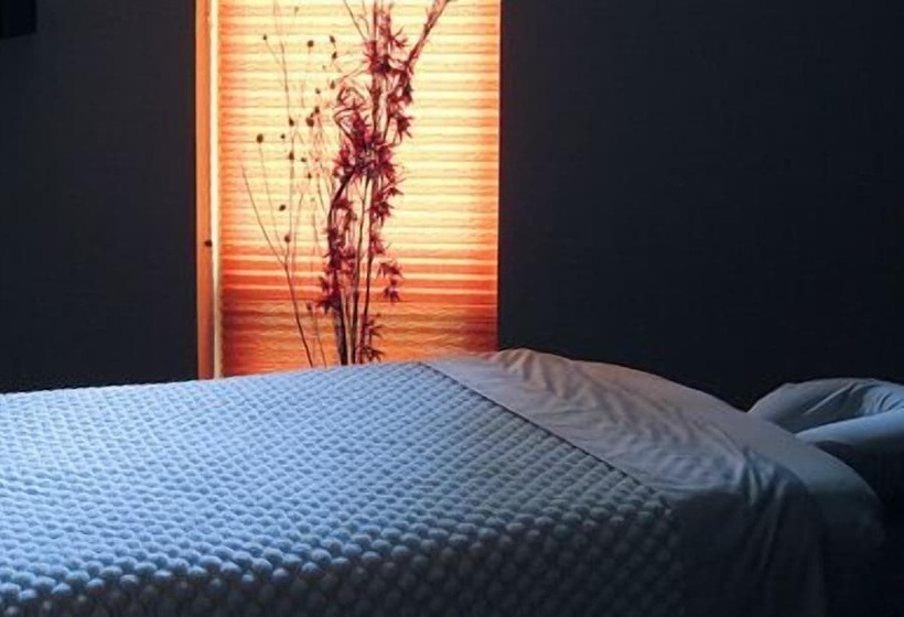 酒店 Painted Boat Resort Spa And Marina