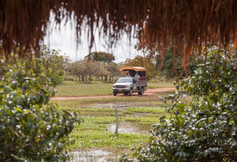 Отель Pousada Araras Pantanal Ecolodge