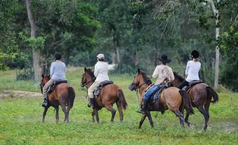 Отель Pousada Araras Pantanal Ecolodge