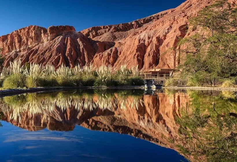 리조트 Nayara Alto Atacama