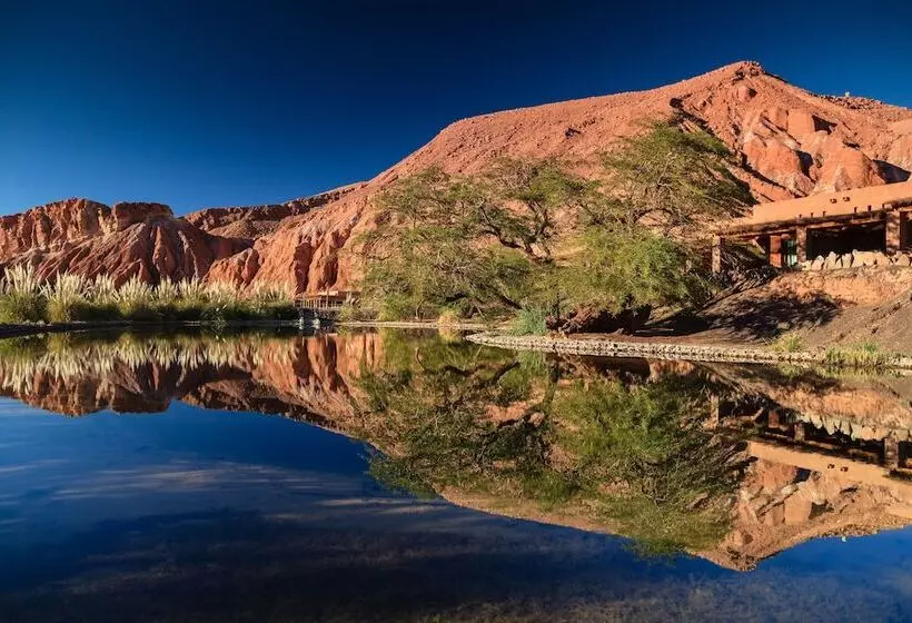 리조트 Nayara Alto Atacama