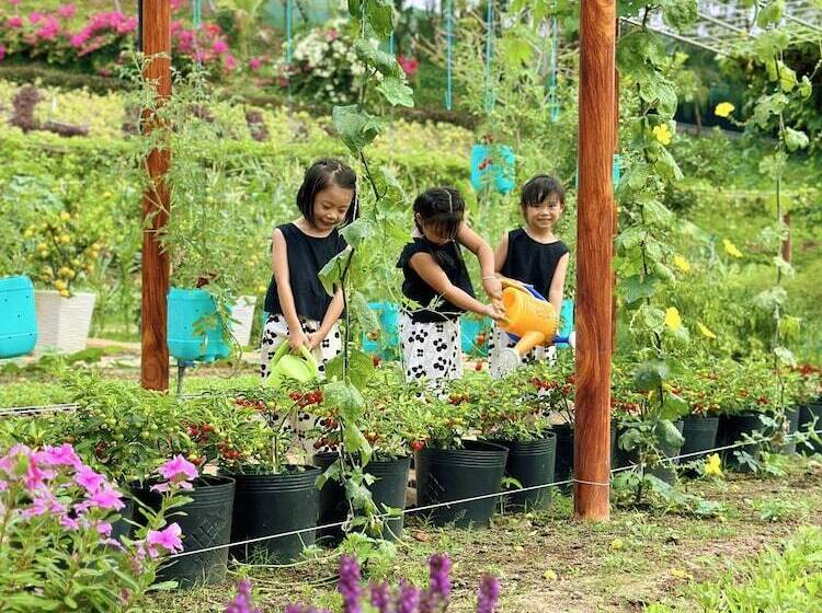 هتل Carmelina Beach Resort