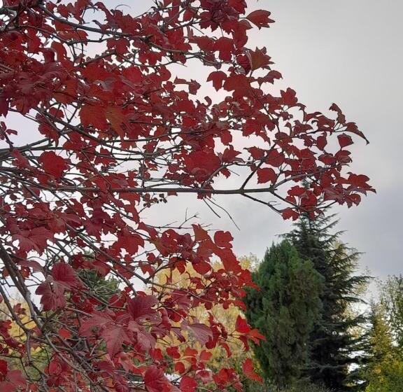 Cabañas Rincon Del Plata