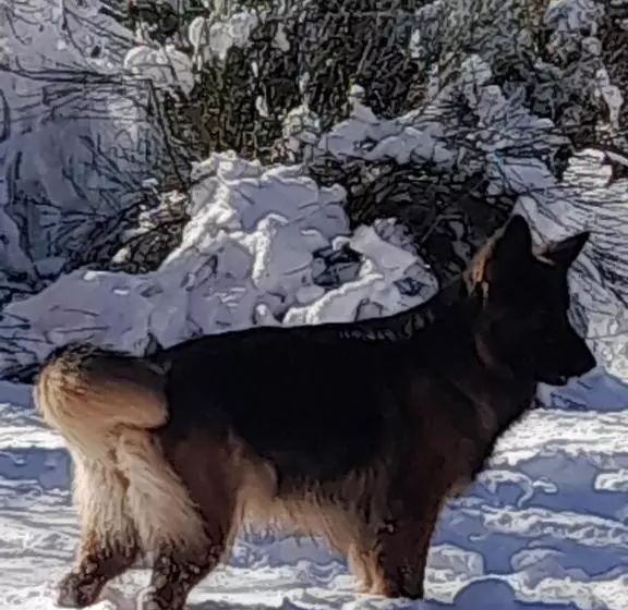 Cabañas Rincon Del Plata
