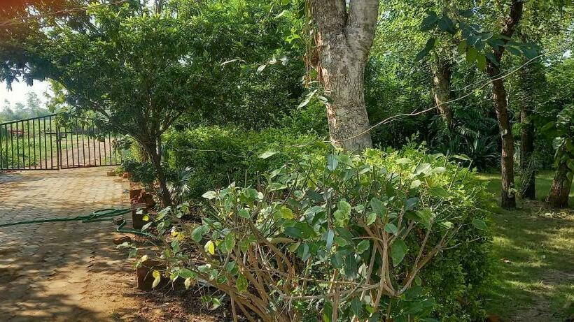 Отель Tranquility