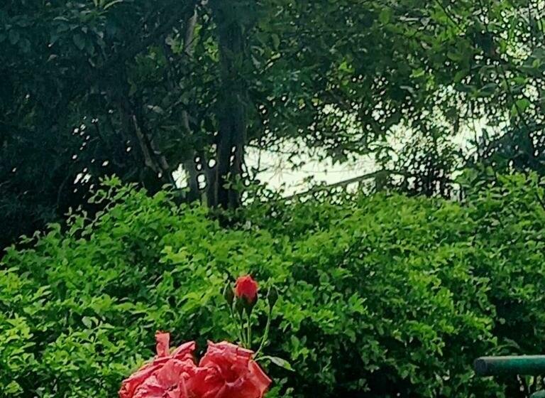 Отель Tranquility