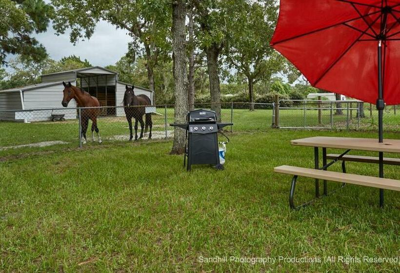 Пансион Room In Apartment   Pleasant Days Bb Manatee Room