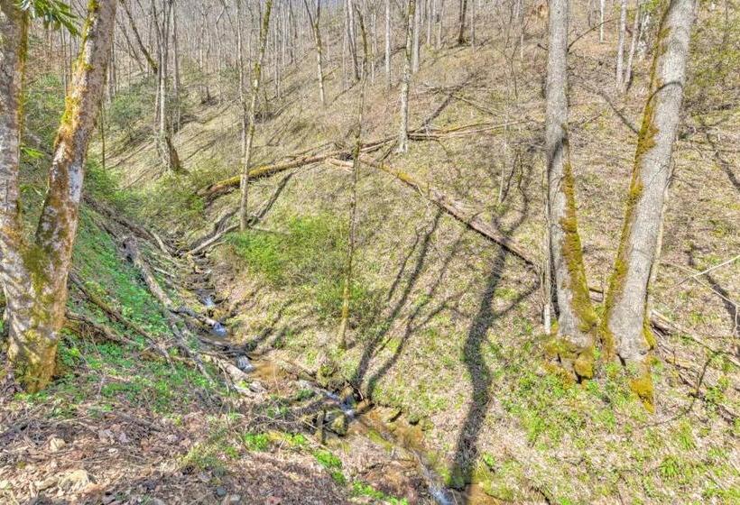 ユースホステル The Lodge Nantahala River