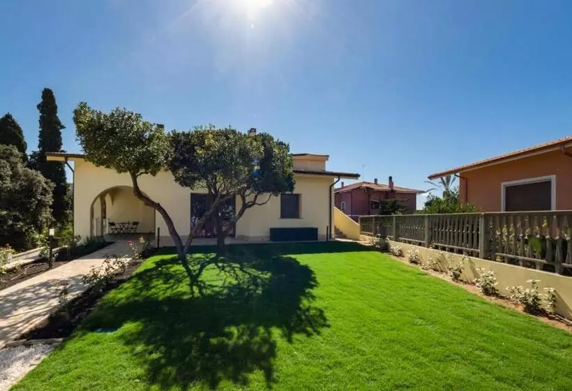 B&b Il Sogno Di Mario