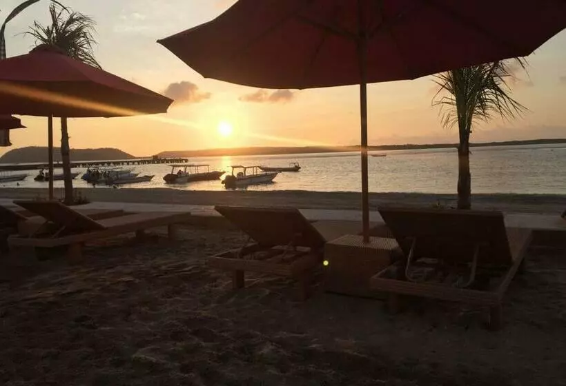 ホテル Maruti Beach Club