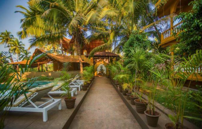 Justa Morjim Beach Resort Goa   80 Steps From Morjim Beach