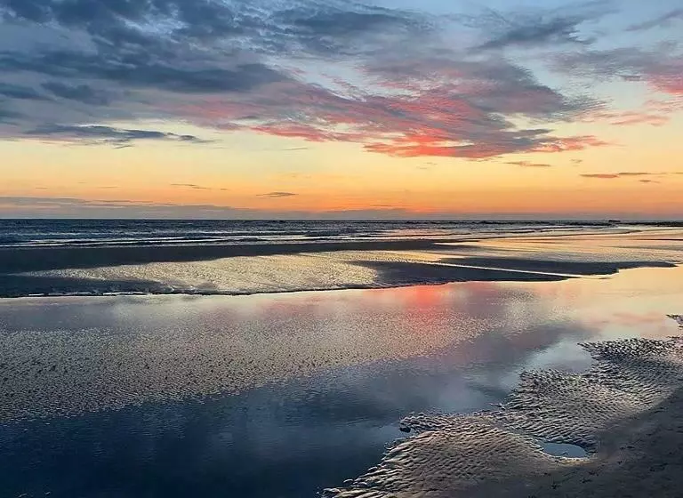 Justa Morjim Beach Resort Goa   80 Steps From Morjim Beach