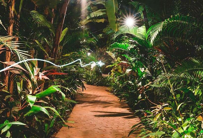 Justa Morjim Beach Resort Goa 80 Steps From Morjim Beach