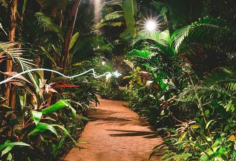 Justa Morjim Beach Resort Goa   80 Steps From Morjim Beach