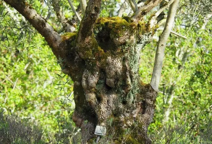Majatalo Vue Sur Gindou Gîte