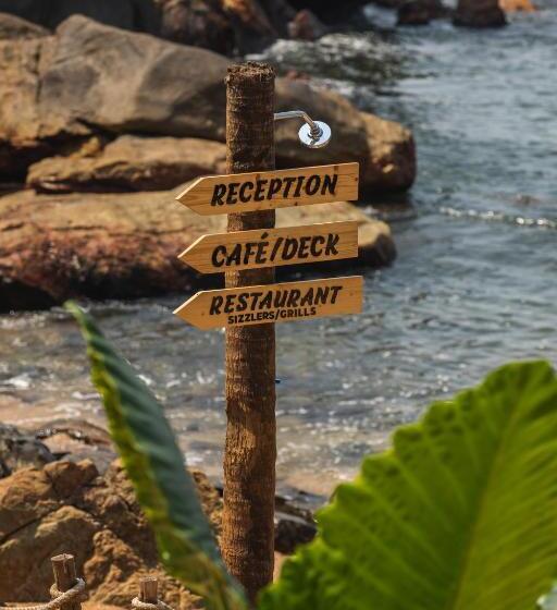 Resort The Ark Comforts