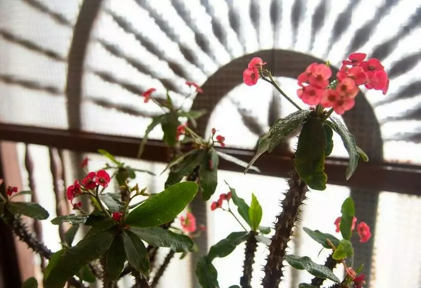 Hotelli Lili   Popayán