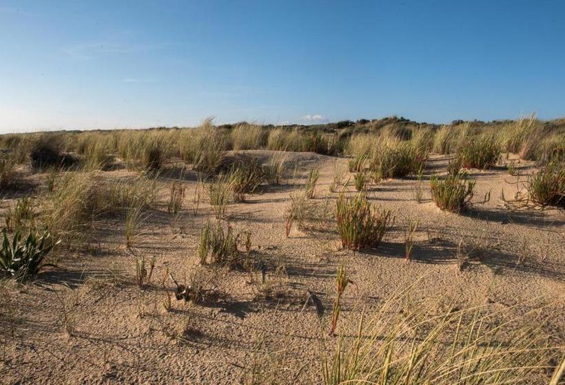 Apartamentos Costa Luz Punta Umbría