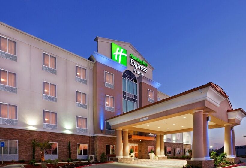 Holiday Inn Express Hotel & Suites Dallas West, An Ihg