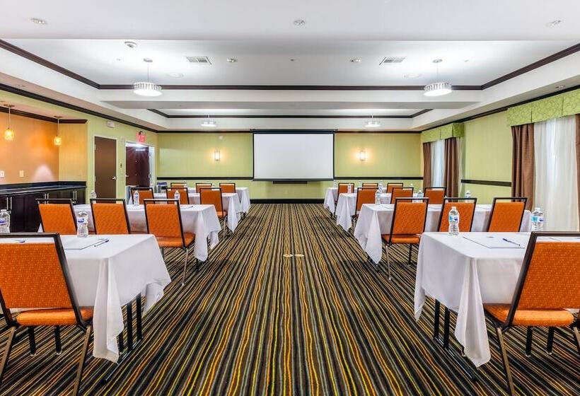 Holiday Inn Express Hotel & Suites Dallas West, An Ihg