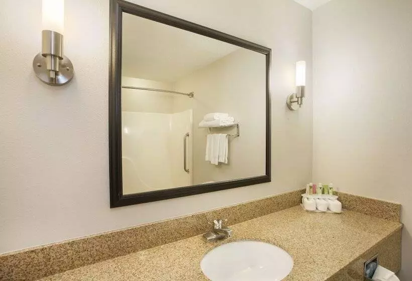 Holiday Inn Express Hotel & Suites Kalamazoo By Ihg