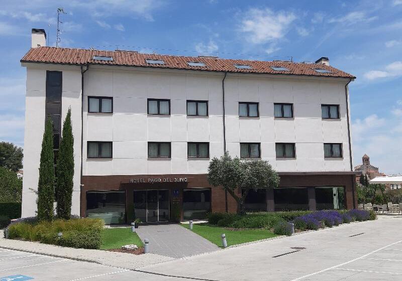 ホテル Pago Del Olivo