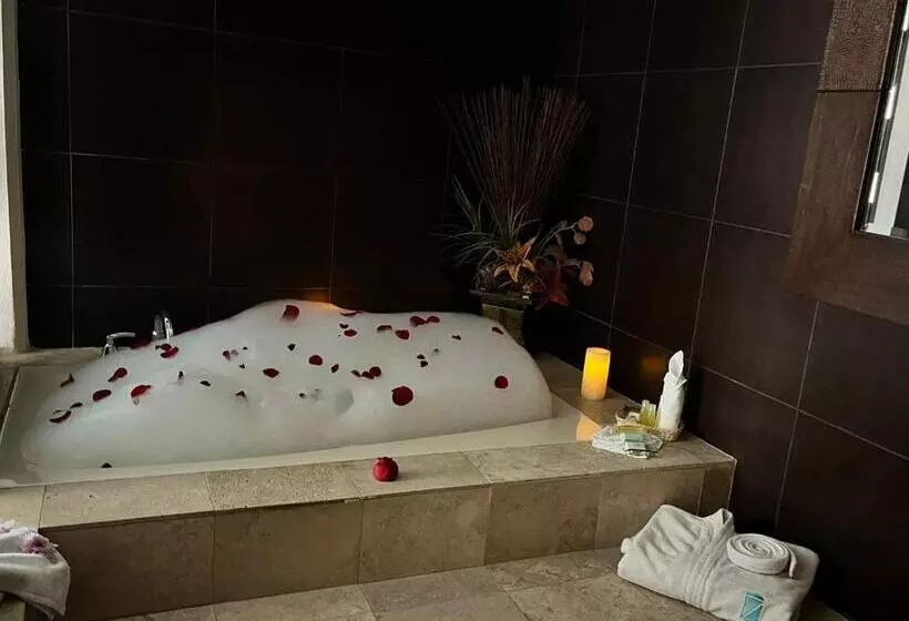 Отель San Carlos Tequisquiapan