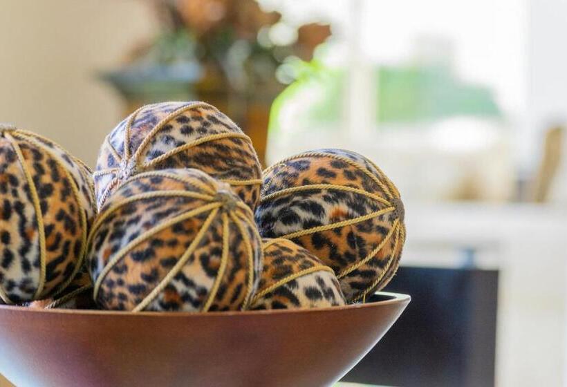 酒店 San Carlos Tequisquiapan