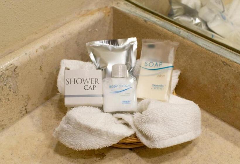 酒店 San Carlos Tequisquiapan