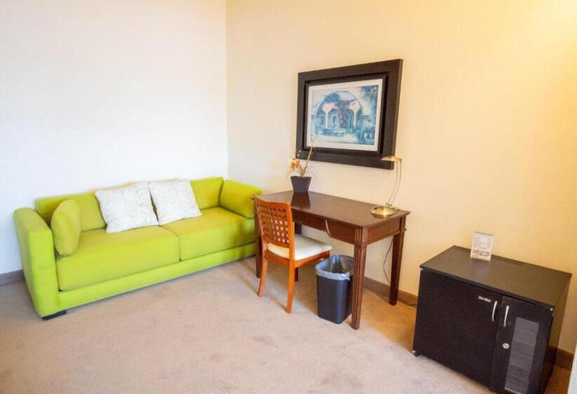 酒店 San Carlos Tequisquiapan