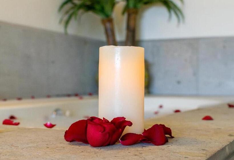 酒店 San Carlos Tequisquiapan