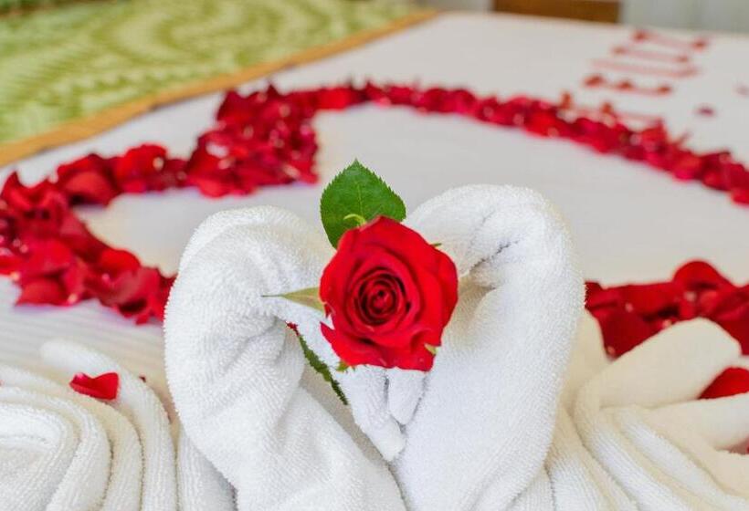 酒店 San Carlos Tequisquiapan