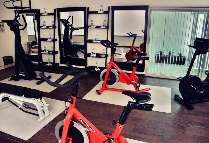 酒店 San Carlos Tequisquiapan