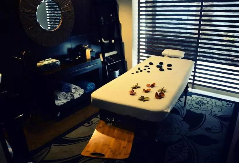 Отель San Carlos Tequisquiapan