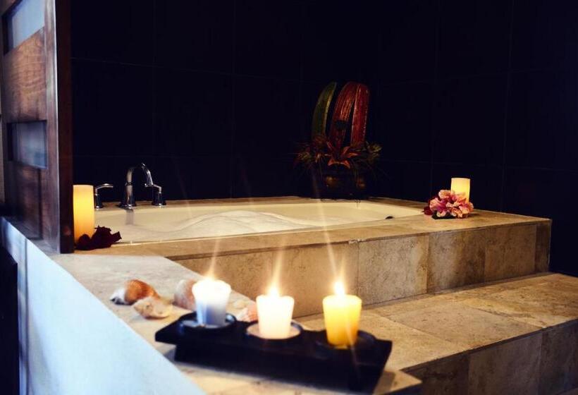 酒店 San Carlos Tequisquiapan