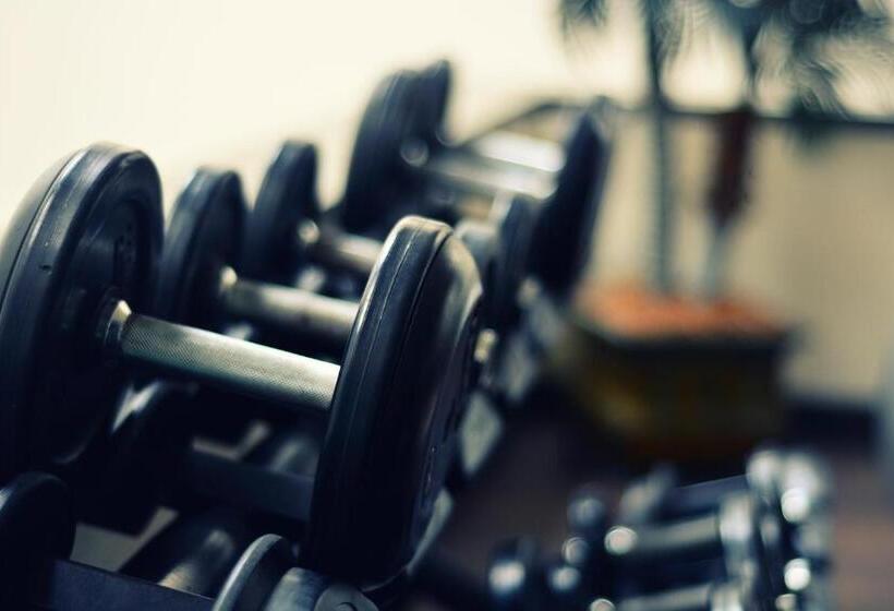 酒店 San Carlos Tequisquiapan