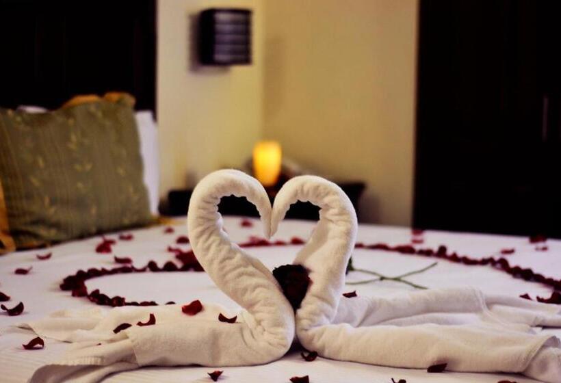 酒店 San Carlos Tequisquiapan