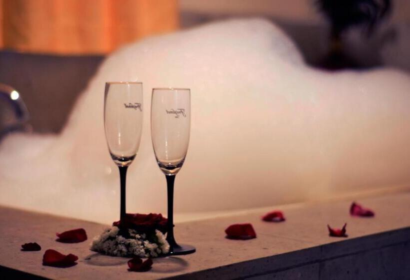 酒店 San Carlos Tequisquiapan