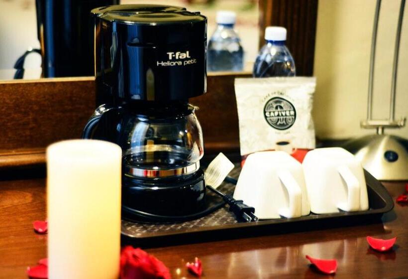 酒店 San Carlos Tequisquiapan