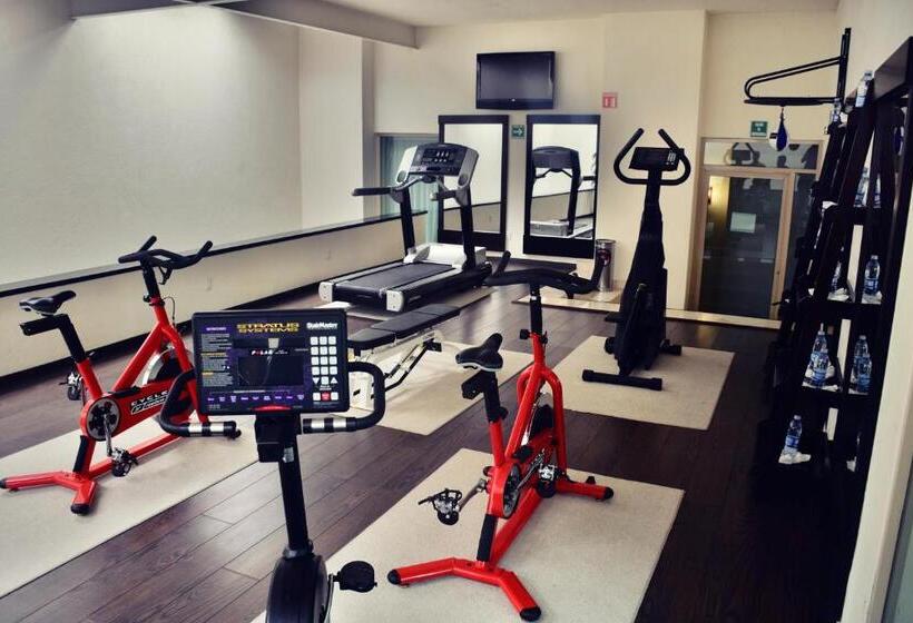 酒店 San Carlos Tequisquiapan