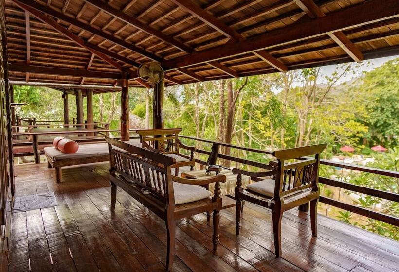 هتل Sensi Paradise Beach Resort