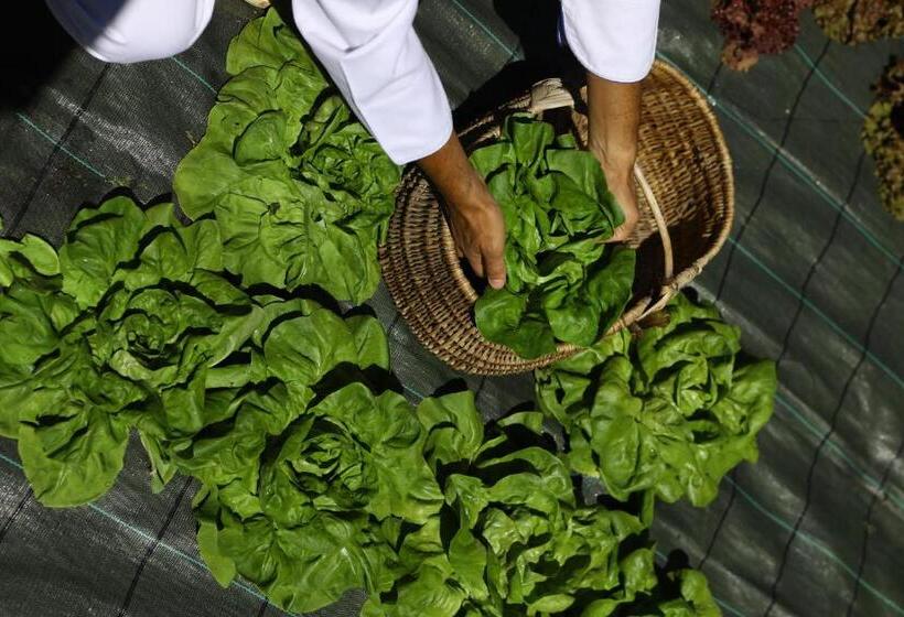 فندق Walser Courmayeur