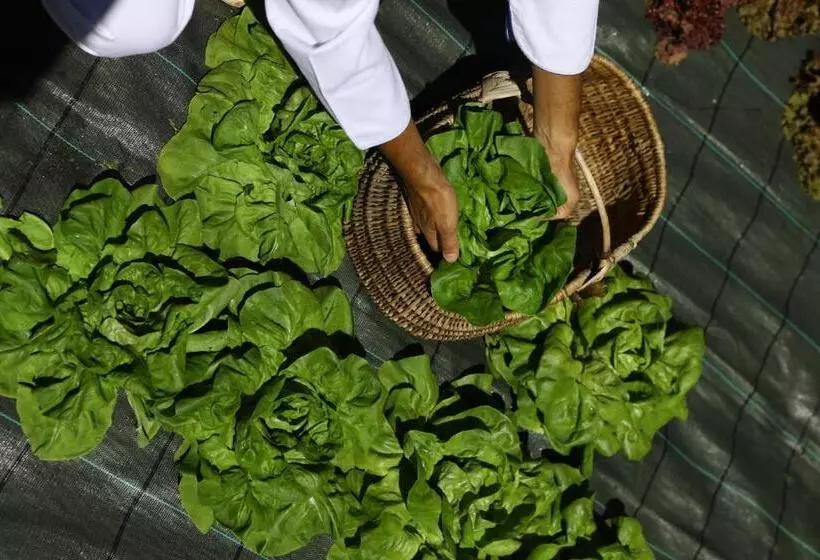 ホテル Walser Courmayeur