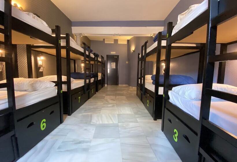 هاستل Joy Plaza de Armas