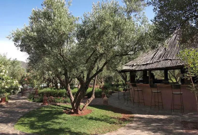 Oliveraie De Marigha