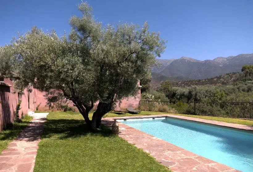 Oliveraie De Marigha