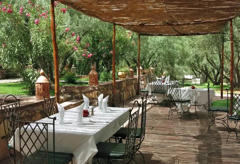 Oliveraie De Marigha