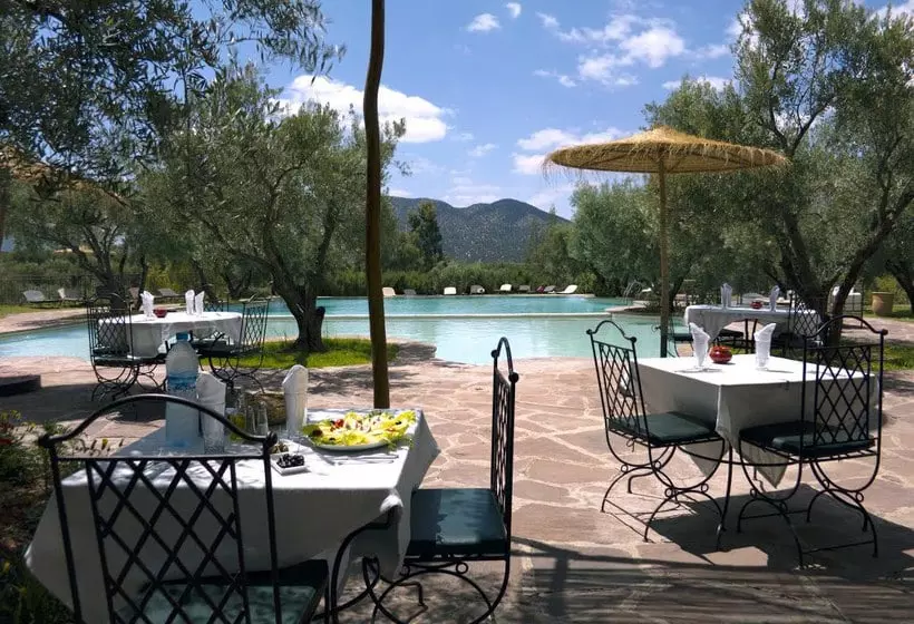 Oliveraie De Marigha