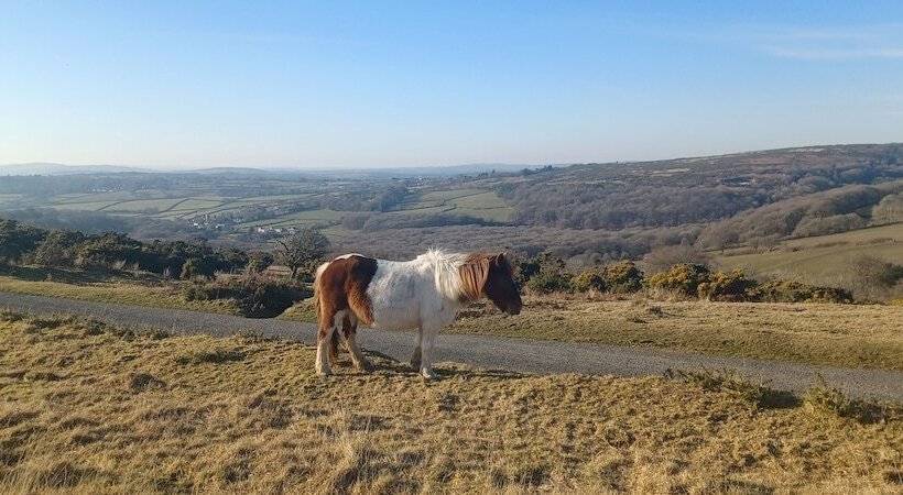 ホテル The Craft House