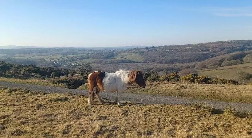 Hotelli The Craft House